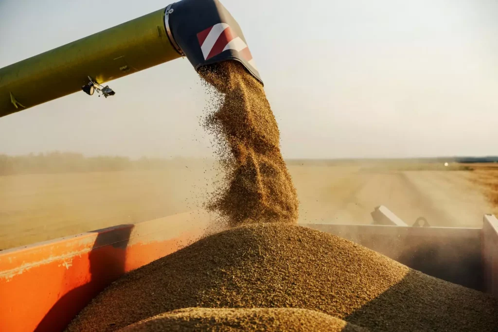 Animal feed transportation industry